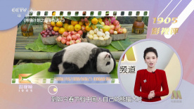 我看黄色片子
